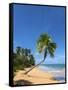 Tres Palmitas Beach, Loiza, Puerto Rico-Katja Kreder-Framed Stretched Canvas