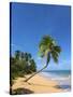 Tres Palmitas Beach, Loiza, Puerto Rico-Katja Kreder-Stretched Canvas