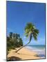 Tres Palmitas Beach, Loiza, Puerto Rico-Katja Kreder-Mounted Photographic Print