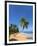 Tres Palmitas Beach, Loiza, Puerto Rico-Katja Kreder-Framed Photographic Print