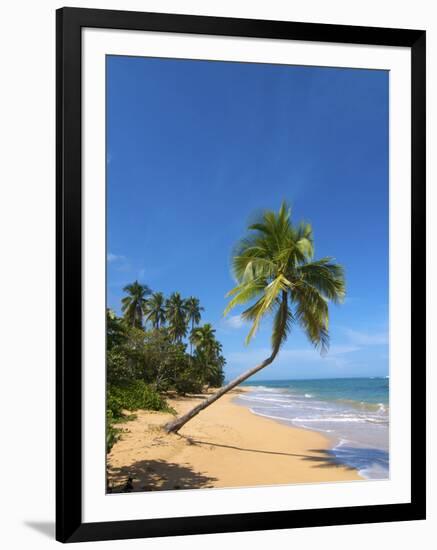 Tres Palmitas Beach, Loiza, Puerto Rico-Katja Kreder-Framed Photographic Print