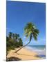 Tres Palmitas Beach, Loiza, Puerto Rico-Katja Kreder-Mounted Photographic Print