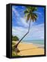 Tres Palmitas Beach, Puerto Rico, West Indies, Caribbean, Central America-Michael DeFreitas-Framed Stretched Canvas