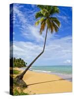 Tres Palmitas Beach, Puerto Rico, West Indies, Caribbean, Central America-Michael DeFreitas-Stretched Canvas