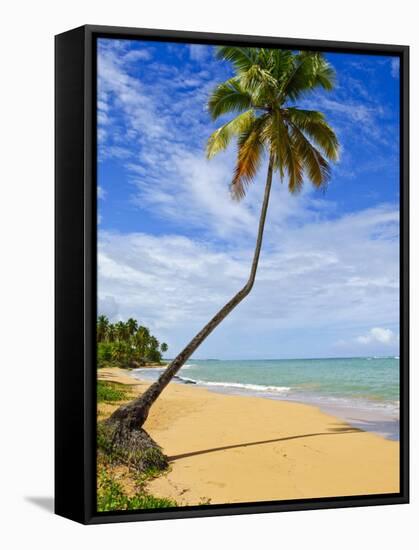 Tres Palmitas Beach, Puerto Rico, West Indies, Caribbean, Central America-Michael DeFreitas-Framed Stretched Canvas