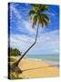 Tres Palmitas Beach, Puerto Rico, West Indies, Caribbean, Central America-Michael DeFreitas-Stretched Canvas