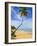 Tres Palmitas Beach, Puerto Rico, West Indies, Caribbean, Central America-Michael DeFreitas-Framed Photographic Print