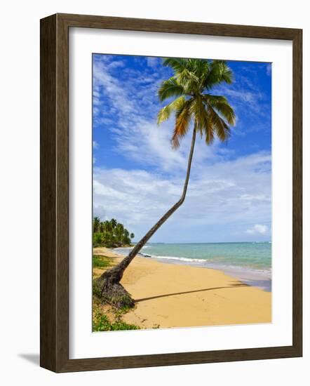 Tres Palmitas Beach, Puerto Rico, West Indies, Caribbean, Central America-Michael DeFreitas-Framed Photographic Print