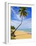 Tres Palmitas Beach, Puerto Rico, West Indies, Caribbean, Central America-Michael DeFreitas-Framed Photographic Print