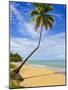 Tres Palmitas Beach, Puerto Rico, West Indies, Caribbean, Central America-Michael DeFreitas-Mounted Photographic Print