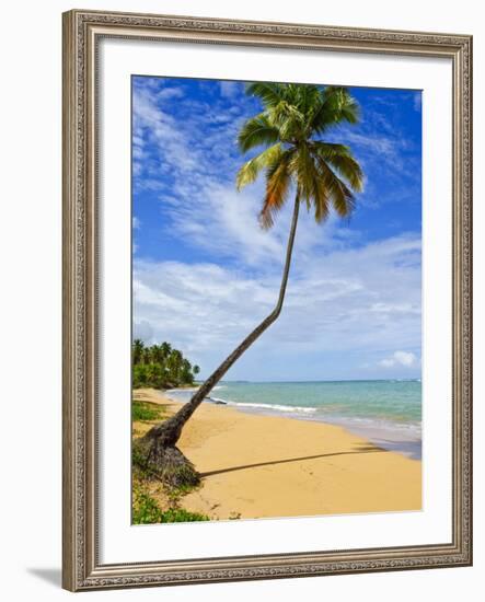 Tres Palmitas Beach, Puerto Rico, West Indies, Caribbean, Central America-Michael DeFreitas-Framed Photographic Print