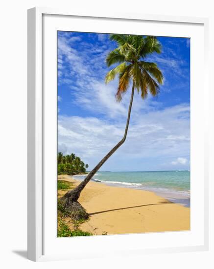 Tres Palmitas Beach, Puerto Rico, West Indies, Caribbean, Central America-Michael DeFreitas-Framed Photographic Print