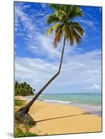 Tres Palmitas Beach, Puerto Rico, West Indies, Caribbean, Central America-Michael DeFreitas-Mounted Photographic Print