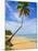 Tres Palmitas Beach, Puerto Rico, West Indies, Caribbean, Central America-Michael DeFreitas-Mounted Photographic Print