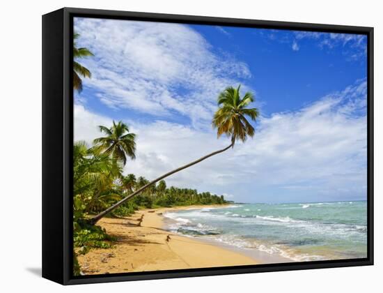 Tres Palmitas Beach, Puerto Rico, West Indies, Caribbean, Central America-Michael DeFreitas-Framed Stretched Canvas