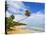 Tres Palmitas Beach, Puerto Rico, West Indies, Caribbean, Central America-Michael DeFreitas-Stretched Canvas