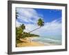 Tres Palmitas Beach, Puerto Rico, West Indies, Caribbean, Central America-Michael DeFreitas-Framed Photographic Print