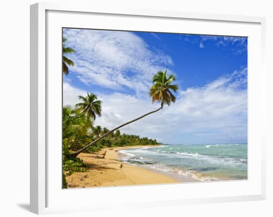 Tres Palmitas Beach, Puerto Rico, West Indies, Caribbean, Central America-Michael DeFreitas-Framed Photographic Print