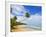 Tres Palmitas Beach, Puerto Rico, West Indies, Caribbean, Central America-Michael DeFreitas-Framed Photographic Print