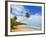 Tres Palmitas Beach, Puerto Rico, West Indies, Caribbean, Central America-Michael DeFreitas-Framed Photographic Print