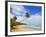 Tres Palmitas Beach, Puerto Rico, West Indies, Caribbean, Central America-Michael DeFreitas-Framed Photographic Print