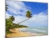 Tres Palmitas Beach, Puerto Rico, West Indies, Caribbean, Central America-Michael DeFreitas-Mounted Photographic Print
