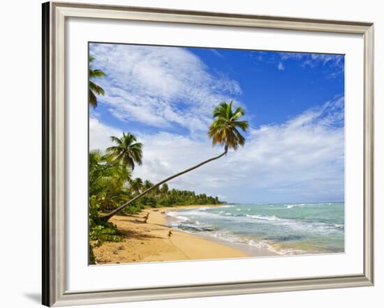 Tres Palmitas Beach, Puerto Rico, West Indies, Caribbean, Central America-Michael DeFreitas-Framed Photographic Print