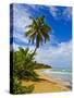 Tres Palmitas Beach, Puerto Rico, West Indies, Caribbean, Central America-Michael DeFreitas-Stretched Canvas