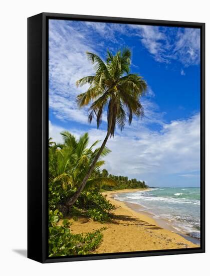 Tres Palmitas Beach, Puerto Rico, West Indies, Caribbean, Central America-Michael DeFreitas-Framed Stretched Canvas