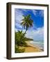 Tres Palmitas Beach, Puerto Rico, West Indies, Caribbean, Central America-Michael DeFreitas-Framed Photographic Print