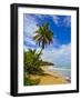 Tres Palmitas Beach, Puerto Rico, West Indies, Caribbean, Central America-Michael DeFreitas-Framed Photographic Print