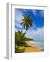 Tres Palmitas Beach, Puerto Rico, West Indies, Caribbean, Central America-Michael DeFreitas-Framed Photographic Print