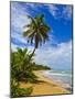 Tres Palmitas Beach, Puerto Rico, West Indies, Caribbean, Central America-Michael DeFreitas-Mounted Photographic Print