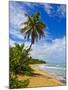 Tres Palmitas Beach, Puerto Rico, West Indies, Caribbean, Central America-Michael DeFreitas-Mounted Photographic Print