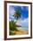 Tres Palmitas Beach, Puerto Rico, West Indies, Caribbean, Central America-Michael DeFreitas-Framed Photographic Print