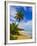 Tres Palmitas Beach, Puerto Rico, West Indies, Caribbean, Central America-Michael DeFreitas-Framed Photographic Print