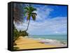 Tres Palmitas Beach, Puerto Rico, West Indies, Caribbean, Central America-Michael DeFreitas-Framed Stretched Canvas