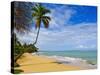 Tres Palmitas Beach, Puerto Rico, West Indies, Caribbean, Central America-Michael DeFreitas-Stretched Canvas