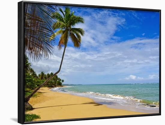 Tres Palmitas Beach, Puerto Rico, West Indies, Caribbean, Central America-Michael DeFreitas-Framed Photographic Print