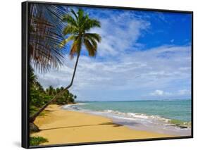 Tres Palmitas Beach, Puerto Rico, West Indies, Caribbean, Central America-Michael DeFreitas-Framed Photographic Print