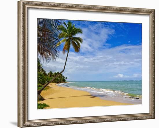 Tres Palmitas Beach, Puerto Rico, West Indies, Caribbean, Central America-Michael DeFreitas-Framed Photographic Print