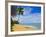 Tres Palmitas Beach, Puerto Rico, West Indies, Caribbean, Central America-Michael DeFreitas-Framed Photographic Print