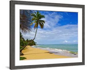 Tres Palmitas Beach, Puerto Rico, West Indies, Caribbean, Central America-Michael DeFreitas-Framed Photographic Print