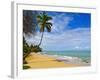 Tres Palmitas Beach, Puerto Rico, West Indies, Caribbean, Central America-Michael DeFreitas-Framed Photographic Print