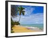 Tres Palmitas Beach, Puerto Rico, West Indies, Caribbean, Central America-Michael DeFreitas-Framed Photographic Print