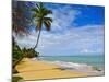 Tres Palmitas Beach, Puerto Rico, West Indies, Caribbean, Central America-Michael DeFreitas-Mounted Photographic Print