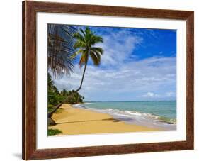 Tres Palmitas Beach, Puerto Rico, West Indies, Caribbean, Central America-Michael DeFreitas-Framed Photographic Print