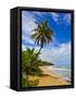 Tres Palmitas Beach, Puerto Rico, West Indies, Caribbean, Central America-Michael DeFreitas-Framed Stretched Canvas