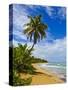 Tres Palmitas Beach, Puerto Rico, West Indies, Caribbean, Central America-Michael DeFreitas-Stretched Canvas