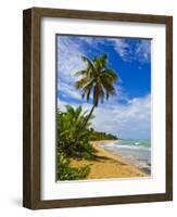 Tres Palmitas Beach, Puerto Rico, West Indies, Caribbean, Central America-Michael DeFreitas-Framed Photographic Print